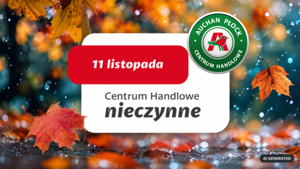 Płock 11.11 - 620.png